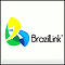 The Brazil Link Ltd 1
